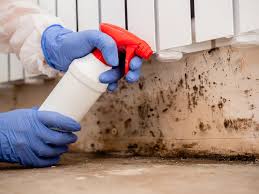 Trusted Bethel Park, PA Mold Inspection Experts